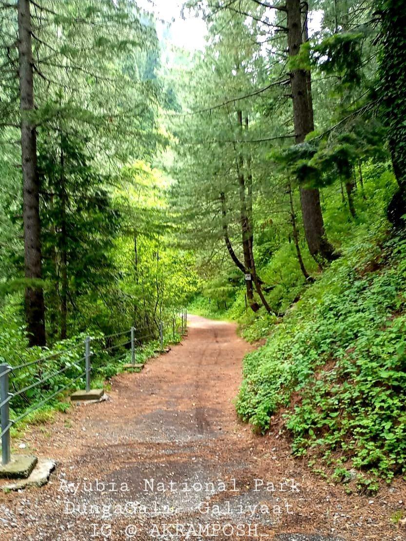 Ayubia National Park